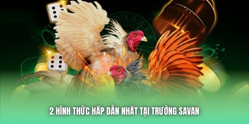 2 hình thức hấp dẫn nhất tại trường Savan