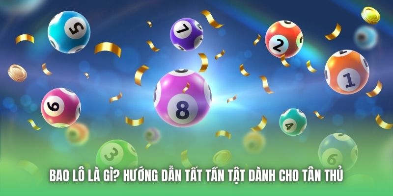 Bao Lô Là Gì? Hướng Dẫn Tất Tần Tật Dành Cho Tân Thủ