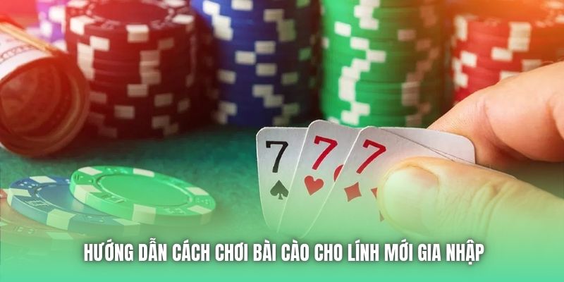 Hướng Dẫn Cách Chơi Bài Cào Cho Lính Mới Gia Nhập