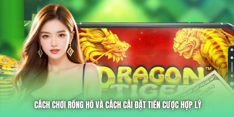 Cách chơi Rồng Hổ và cách cài đặt tiền cược hợp lý