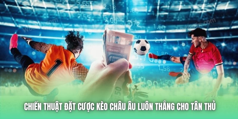 Chiến thuật đặt cược kèo châu Âu luôn thắng cho tân thủ