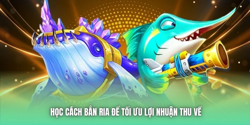 Học cách bắn ria để tối ưu lợi nhuận thu về