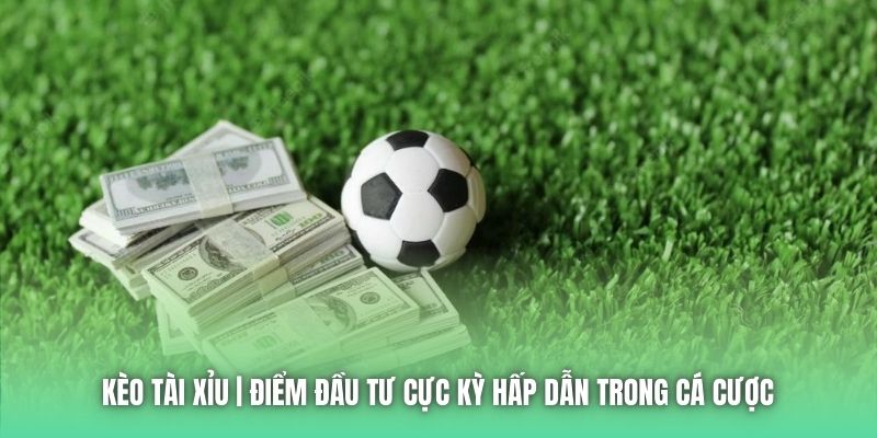 Kèo Tài Xỉu | Điểm Đầu Tư Cực Kỳ Hấp Dẫn Trong Cá Cược