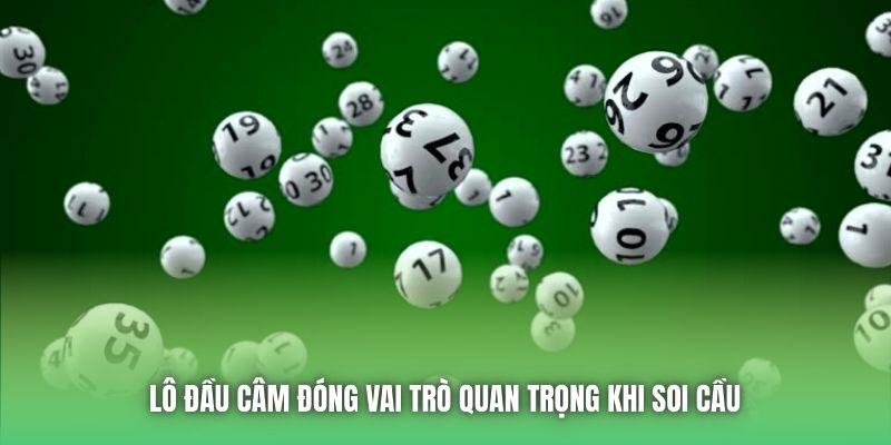 Lô đầu câm đóng vai trò quan trọng khi soi cầu