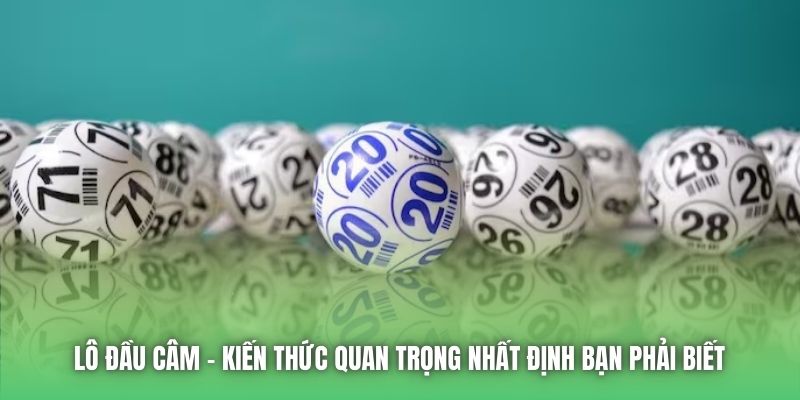 Lô Đầu Câm | Kiến Thức Quan Trọng Nhất Định Bạn Phải Biết