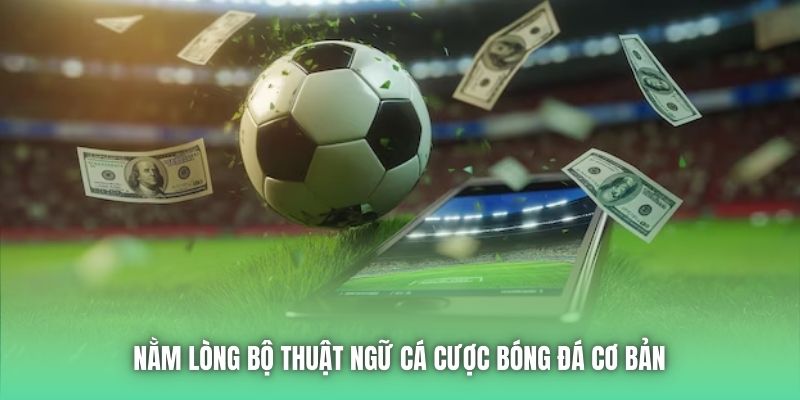 Nằm lòng bộ thuật ngữ cá cược bóng đá cơ bản