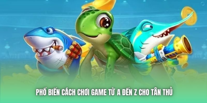 Phổ biến cách chơi game từ A đến Z cho tân thủ
