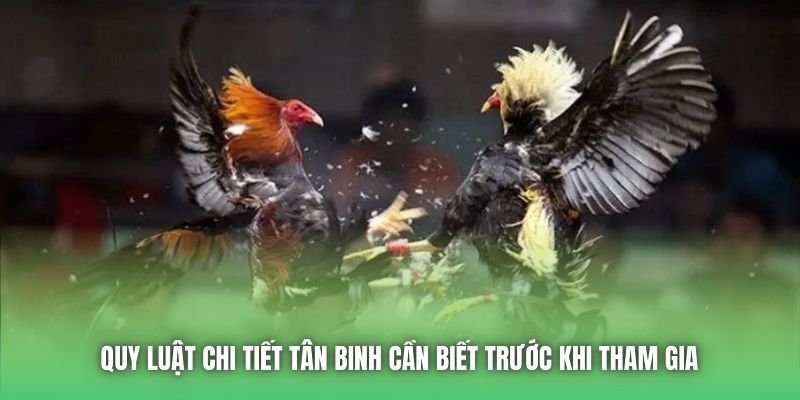 Quy luật chi tiết tân binh cần biết trước khi tham gia